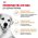 Royal Canin Breed dog Golden Retriever Adult / Сухой корм Роял Канин для взрослых собак породы Голден Ретривер старше 15 месяцев