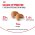 Royal Canin Breed dog Cocker Adult / Сухой корм Роял Канин для взрослых собак породы Кокер Спаниель старше 1 года Royal Canin Breed dog Cocker Adult / Сухой корм Роял Канин для взрослых собак породы Кокер Спаниель старше 1 года