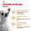 Royal Canin Breed dog Chihuahua Adult / Сухой корм Роял Канин для взрослых собак породы Чихуахуа старше 8 месяцев Royal Canin Breed dog Chihuahua Adult / Сухой корм Роял Канин для взрослых собак породы Чихуахуа старше 8 месяцев