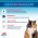 Cliny / Паста Клини с ионами Серебра для кошек для Вывода Шерсти Cliny / Паста Клини с ионами Серебра для кошек для Вывода Шерсти