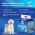 Cliny / Подгузники Клини для животных Cliny / Подгузники Клини для животных