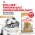 Royal Canin Breed dog Pomeranian Adult / Сухой корм Роял Канин для взрослых собак породы Померанский Шпиц от 8 месяцев и старше Royal Canin Breed dog Pomeranian Adult / Сухой корм Роял Канин для взрослых собак породы Померанский Шпиц от 8 месяцев и старше