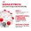 Royal Canin Breed dog Pomeranian Adult / Сухой корм Роял Канин для взрослых собак породы Померанский Шпиц от 8 месяцев и старше Royal Canin Breed dog Pomeranian Adult / Сухой корм Роял Канин для взрослых собак породы Померанский Шпиц от 8 месяцев и старше