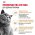 Royal Canin Breed cat British Shorthair / Влажный корм (Консервы-Паучи) Роял Канин для кошек породы Британская короткошерстная