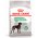 Royal Canin Maxi Digestive Care / Сухой корм Роял Канин Макси Дайджестив Кэа для собак Крупных пород с Чувствительным пищеварением Royal Canin Maxi Digestive Care / Сухой корм Роял Канин Макси Дайджестив Кэа для собак Крупных пород с Чувствительным пищеварением