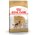 Royal Canin Breed dog German Shepherd Adult / Сухой корм Роял Канин для взрослых собак породы Немецкая Овчарка старше 15 месяцев