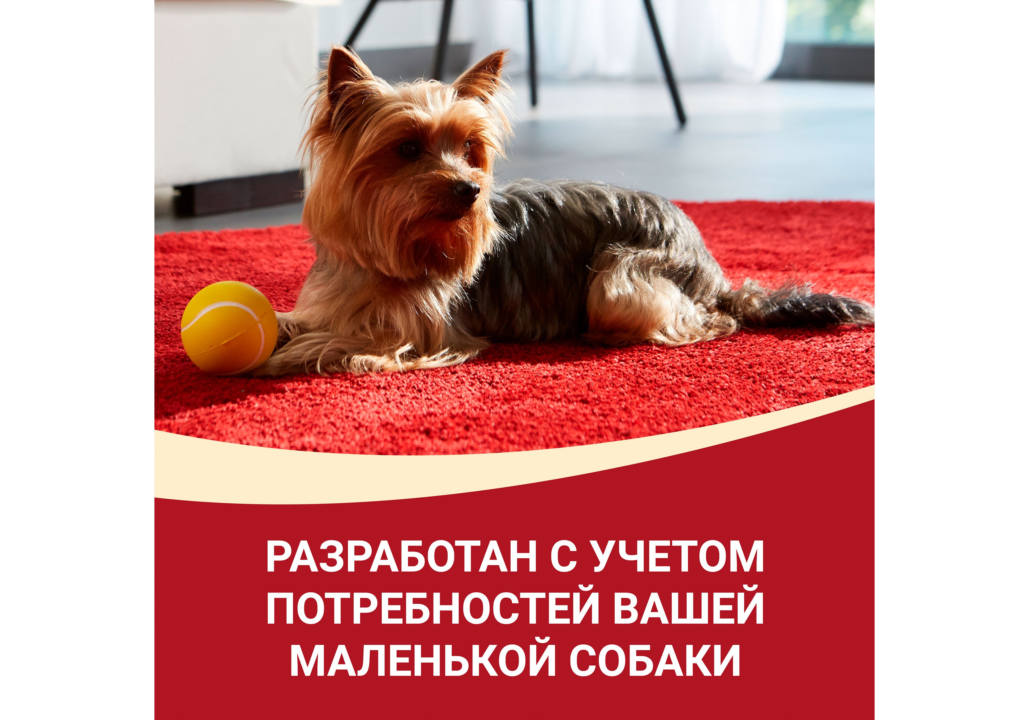 PURINA ONE MINI / Влажный корм Паучи Пурина УАН для взрослых собак мелких  пород при активном образе жизни с говядиной (цена за упаковку) 85г х 26шт  купить в Москве по низкой цене