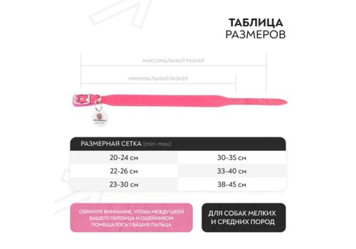 Mr.Kranch / Ошейник Мистер Кранч для собак из Натуральной кожи с QR-адресником Розовый