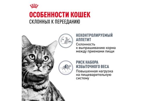 Royal Canin Appetite Control Care Sauce / Влажный корм (Консервы-Паучи) Роял Канин Аппетайт Контрол Кэа для взрослых кошек Контроль аппетита в Соусе (цена за упаковку)
