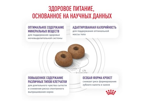 Royal Canin Neutered Adult Small Dog / Сухой корм Роял Канин для Кастрированных или Стерилизованных собак Мелких пород