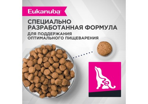 Eukanuba Puppy Large Breed / Сухой корм Эукануба для Щенков Крупных пород с Курицей