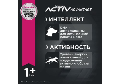 Eukanuba Adult Small Breed / Сухой корм Эукануба для взрослых собак Мелких пород с Курицей