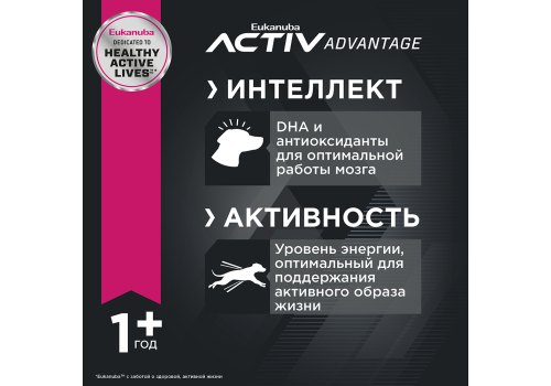 Eukanuba Adult Toy Breed / Сухой корм Эукануба для взрослых собак Миниатюрных пород с Курицей