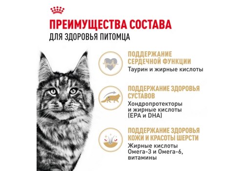 Royal Canin Breed cat Maine Coon / Влажный корм (Консервы-Паучи) Роял Канин для кошек породы Мэйн Кун
