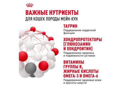 Royal Canin Breed cat Maine Coon / Влажный корм (Консервы-Паучи) Роял Канин для кошек породы Мэйн Кун