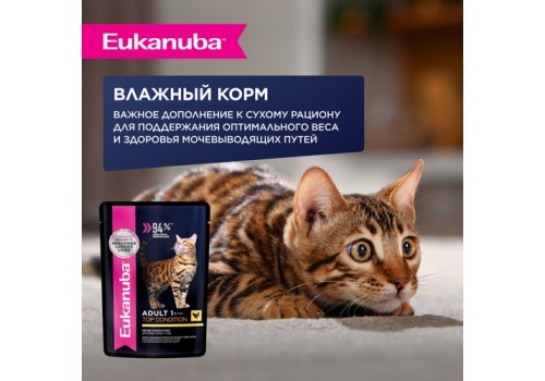 Eukanuba Hairball Control Adult Chicken / Сухой корм Эукануба для взрослых кошек Вывод волосяных комочков c Курицей