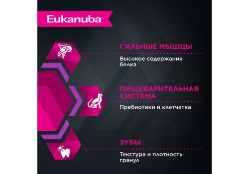 Eukanuba Kitten Healthy Start Chicken / Сухой корм Эукануба для Котят Здоровый старт с домашней птицей