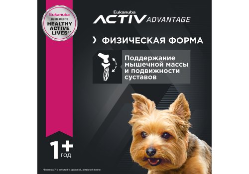Eukanuba Adult Toy Breed / Сухой корм Эукануба для взрослых собак Миниатюрных пород с Курицей