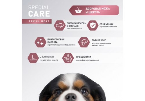 Award Special Care Sensitive Skin&Coat / Сухой корм Авард для взрослых собак всех пород для Здоровой кожи и шерсти с Лососем