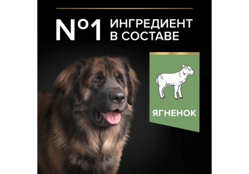 PRO PLAN OPTI DIGEST / Сухой корм ПРО ПЛАН для взрослых собак крупных пород с мощным телосложением при чувствительном пищеварении с ягненком