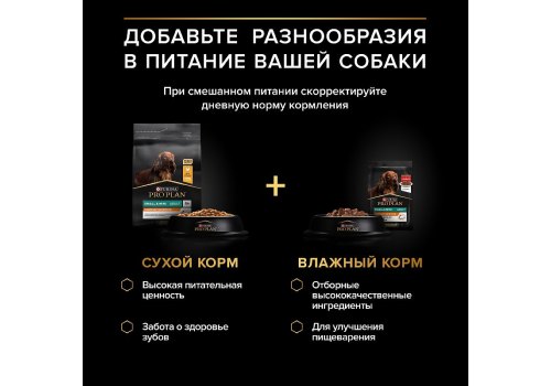PRO PLAN OPTI SAVOUR / Влажный корм Паучи ПРО ПЛАН для взрослых собак мелких пород при чувствительном пищеварении с лососем (цена за упаковку)