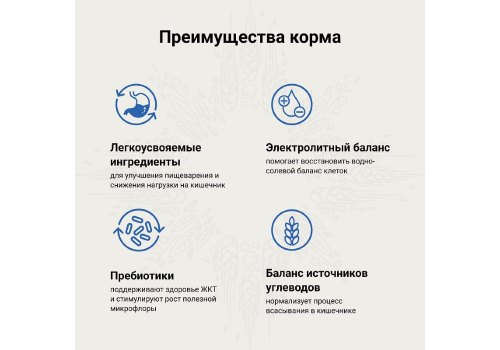 Craftia Galena Cat Gastrointestinal Care / Ветеринарный сухой корм Крафтия для кошек при Заболеваниях ЖКТ