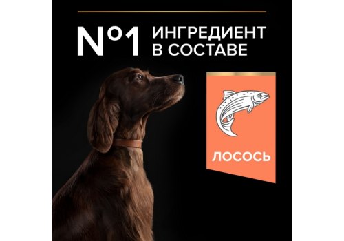 PRO PLAN OPTI DERMA / Сухой корм ПРО ПЛАН для взрослых собак крупных пород с атлетическим телосложением чувствительной кожей с лососем