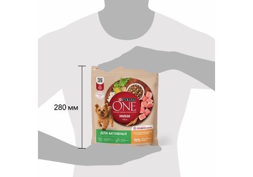 PURINA ONE MINI / Сухой корм Пурина УАН для взрослых собак мелких пород при активном образе жизни с курицей