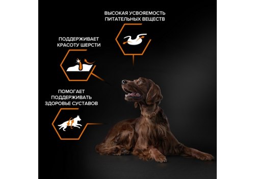 PRO PLAN OPTI BALANCE / Сухой корм ПРО ПЛАН для взрослых собак крупных пород с атлетическим телосложением с курицей