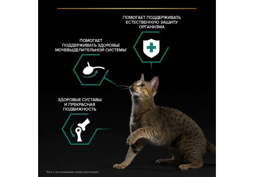 PRO PLAN ADULT / Влажный корм Паучи ПРО ПЛАН для взрослых кошек с уткой в соусе (цена за упаковку)