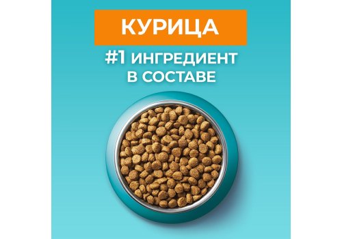 PURINA ONE SENIOR / Сухой корм Пурина УАН для пожилых кошек с курицей
