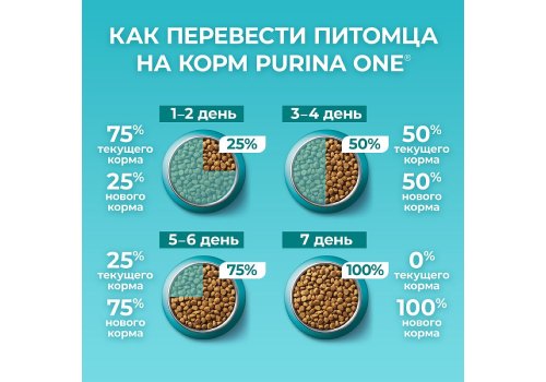 PURINA ONE SENIOR / Сухой корм Пурина УАН для пожилых кошек с курицей