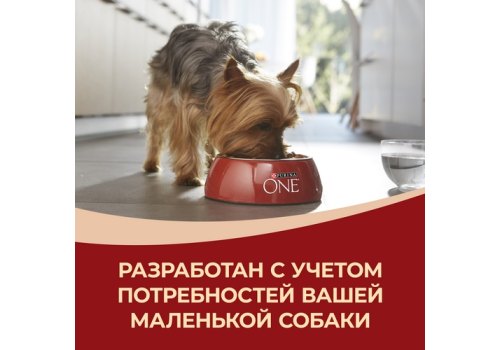 PURINA ONE MINI / Сухой корм Пурина УАН для взрослых собак мелких пород при чувствительном пищеварении с лососем