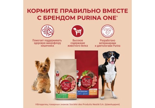 PURINA ONE MINI / Сухой корм Пурина УАН для взрослых собак мелких пород при чувствительном пищеварении с лососем