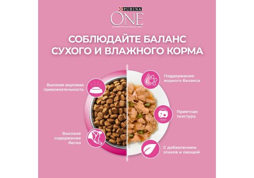 PURINA ONE KITTEN / Сухой корм Пурина УАН для котят с курицей