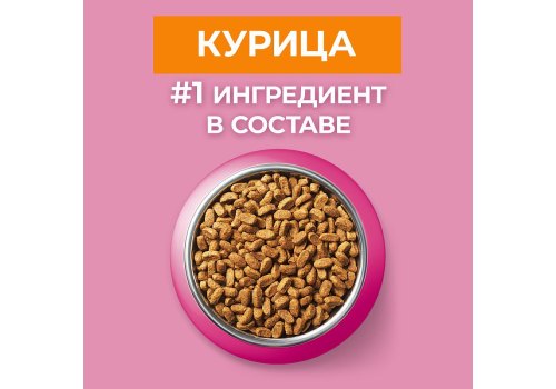 PURINA ONE KITTEN / Сухой корм Пурина УАН для котят с курицей