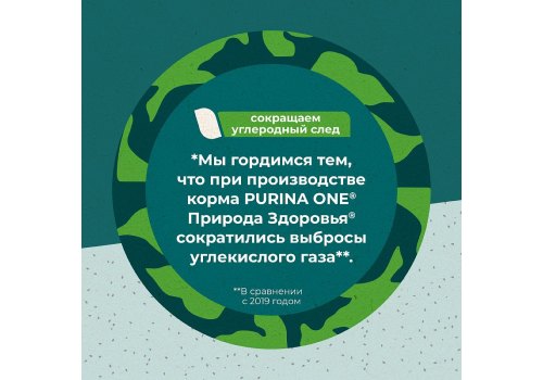 PURINA ONE SUPERFOOD / Сухой корм Пурина УАН для взрослых кошек с курицей