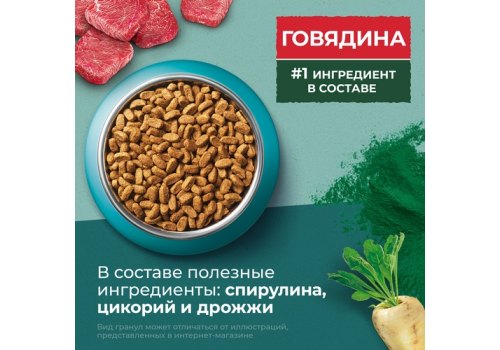 PURINA ONE SUPERFOOD / Сухой корм Пурина УАН для взрослых стерилизованных кошек с говядиной