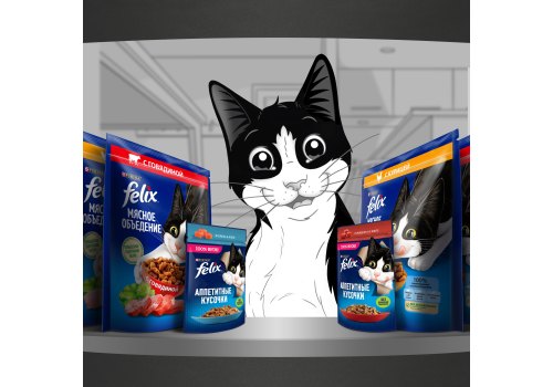 FELIX МЯСНОЕ ОБЪЕДЕНИЕ / Сухой корм Пурина Феликс Мясное объедение для взрослых кошек с курицей