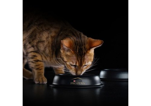 PRO PLAN HOUSECAT / Влажный корм Паучи ПРО ПЛАН для взрослых кошек при домашнем образе жизни с индейкой в желе (цена за упаковку)