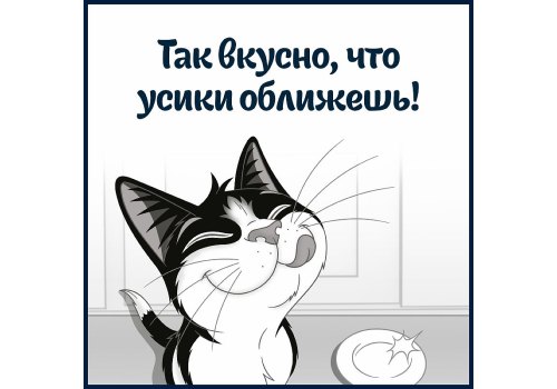 FELIX СУП / Влажный корм Паучи Пурина Феликс Суп для взрослых кошек с курицей (цена за упаковку)