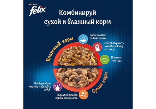 FELIX АППЕТИТНЫЕ КУСОЧКИ ДВОЙНАЯ ВКУСНЯТИНА / Влажный корм Паучи Феликс Аппетитные кусочки для взрослых кошек с говядиной и домашней птицей (цена за упаковку)