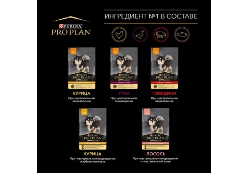 PRO PLAN EVERYDAY NUTRITION ADULT SMALL&MINI / Влажный корм Паучи ПРО ПЛАН для взрослых собак Мелких и Карликовых пород с Курицей в соусе (цена за упаковку)