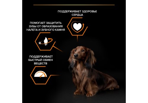 PRO PLAN OPTI BALANCE / Сухой корм ПРО ПЛАН для взрослых собак мелких пород с курицей