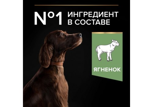PRO PLAN OPTI DIGEST / Сухой корм ПРО ПЛАН для взрослых собак крупных пород с атлетическим телосложением при чувствительном пищеварении с ягненком