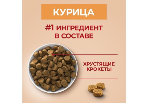 PURINA ONE PUPPY / Сухой корм Пурина УАН для щенков средних и крупных пород с курицей