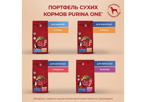 PURINA ONE PUPPY / Сухой корм Пурина УАН для щенков средних и крупных пород с курицей