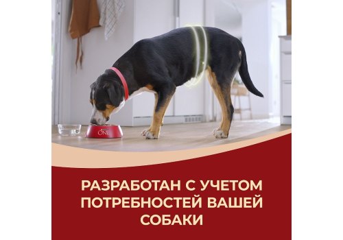 PURINA ONE PUPPY / Сухой корм Пурина УАН для щенков средних и крупных пород с курицей