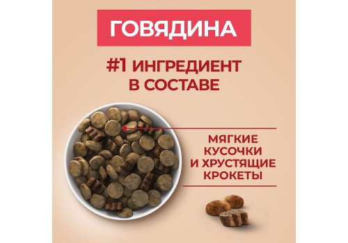 PURINA ONE ADULT / Сухой корм Пурина УАН для взрослых собак средних и крупных пород с говядиной