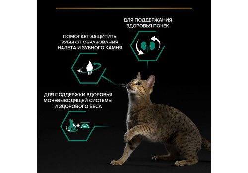PRO PLAN STERILISED / Сухой корм ПРО ПЛАН для взрослых кошек для поддержания здоровья почек после стерилизации с индейкой
